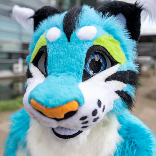 profile-picture